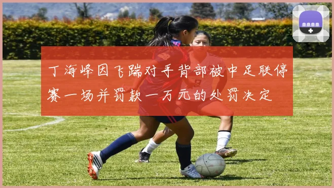 丁海峰因飞踹对手背部被中足联停赛一场并罚款一万元的处罚决定